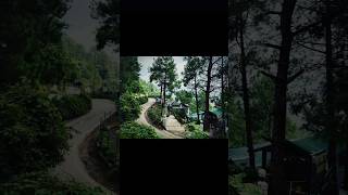 Beautiful resort in Kausali😍HP youtubeshorts shorts blossom resort kausali [upl. by Nirol]