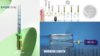 Instruction of How to Use Eighteeth EFLEX ONE Heat Treated Endo Files Usage Protocol [upl. by Sukramaj]