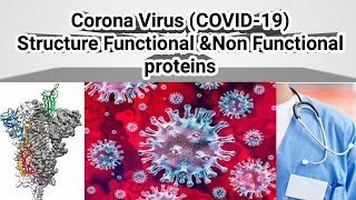 Structure of Corona VirusesFunctional and Non Functional Proteins [upl. by Mckee]