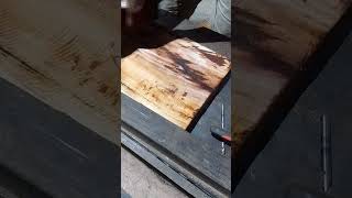 What Makes Wooden Polishing So HARD to Get Right 🤔🪵 WoodPolishing DIYTips HomeCare [upl. by Alten157]