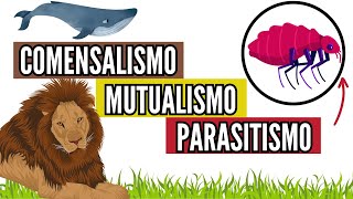 🕵️‍♀️La verdad sobre el MUTUALISMO COMENSALISMO PARASITISMO en biología fácil [upl. by Lytsirhc]