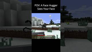 Minecraft Horror Meme [upl. by Anecusa]