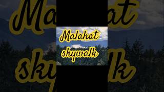 Malahat Skywalk in Vancouver island travel music vancouverisland canada nature [upl. by Dierdre]