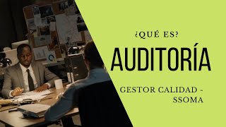 ¿Qué es una Auditoría [upl. by Swen880]