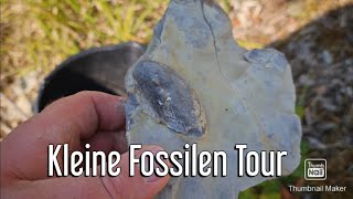 Kleine Fossilien Tour Muscheln Suchen folge 39 fossi outdoors outdoor [upl. by Penland]