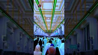 Safa And Marwa Beautiful Video 💙 🥀 SajidRaza shorts [upl. by Gibrian415]