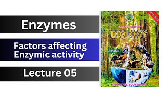 factors affecting enzyme activity  enzymes  class 11 biology Sindh board new [upl. by Mureil]