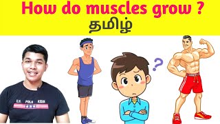 How to grow muscles in tamil Science behind muscle growth TAMIL SOLVER [upl. by Amersham257]