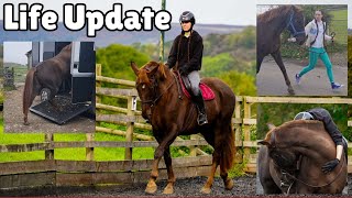 Whats NEXT for My Channel After Rehoming My Horse [upl. by Asamot154]