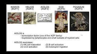 Kentaro Yomogida The transcription factor Aiolos restrains the activation of intestinal [upl. by Junie88]