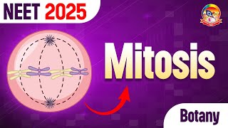 Mitosis  Most Important Questions of Mitosis  NEET Botany  srichaitanyagosala [upl. by Corotto]