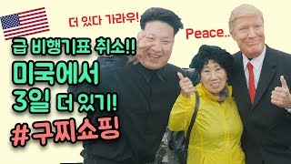 Eng급 티켓취소 샌프란시스코에서 3일 선물받은 사연 박막례 할머니 [upl. by Dann]