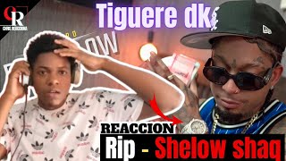 reaction rochy rd  TIGUERE DK  video oficial Rip Shelow Shaq [upl. by Ecenahs534]