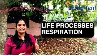 Life Processes Part3Respiration in HumansCBSE Class 10 Biology Chapter 6 in Malayalam [upl. by Sidoeht963]