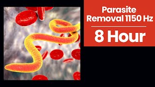 1150 Hz Frequency for Parasite Cleansing  Rife Frequency for Total Body Balancing 8 Hr Black Screen [upl. by Rodmun579]