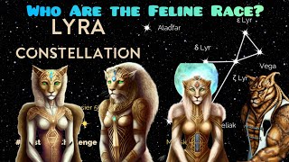 Who Are The Lyran Feline Race Of Extraterrestrial [upl. by Gardy31]