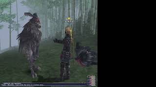 FFXI The Voracious Resurgence Mission 61 [upl. by Ttennaj]