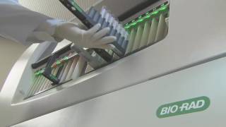 See BioRads IH1000 in Action [upl. by Gathers]