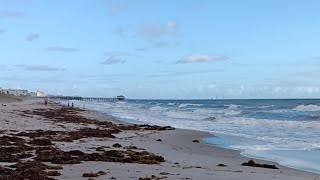 Live Webcam View  Cocoa Beach Pier [upl. by Ailla]