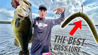 Fishing For GIANT Bass With The Wacky Rig [upl. by Fanchie519]