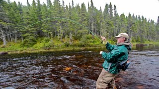 Steelhead amp Salmon on a Fly  How To [upl. by Eveam]