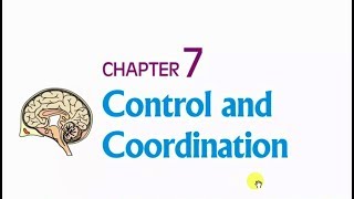 Control and Coordination  Class 10 Science  Ch 7 Part 1 [upl. by Calista]