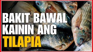 BAKIT DAPAT NA IWASAN ANG PAGKAIN NG ISDANG TILAPIA BAGO KA KUMAIN PANOORIN MO ITO [upl. by Alvera]