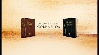 Biblia de Estudio Palabra Clave [upl. by Gonzales]