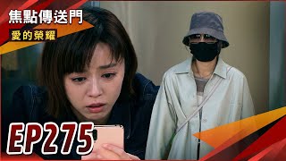 《焦點傳送門》愛的榮耀 EP275｜惠潔大發瘋！偷抱小果果回家！ [upl. by Loydie236]