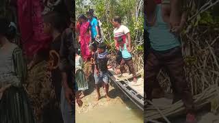 Sundarban l fishing l Sundarban fishing videoshort shorts shortvideo youtubeshorts reels [upl. by Candida]