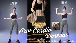 Arm Cardio Workout [upl. by Ahsikym]