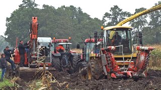 Harvesting Mais In The Mud  New Holland FX  Modderen  Vastzitten  Sundermeijer [upl. by Acissehc]