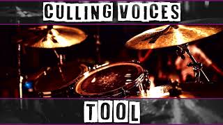 Drumless Culling Voices  Tool [upl. by Aiykan]