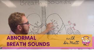 Abnormal Breath Sounds  Respiratory System [upl. by Johan]