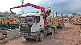 Scania G490 and G480 unload on timberplant [upl. by Hares]