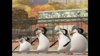 Die Pinguine aus Madagascar Tribute [upl. by Frederich]