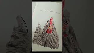 Livre de couture illustré en cours d écriture [upl. by Burbank]