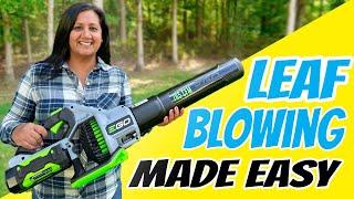 Leaf Blowing Made Easy  5 Top Tips [upl. by Hare]