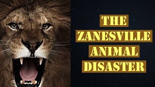 The Zanesville Ohio Animal Tragedy Explained [upl. by Ertsevlis723]