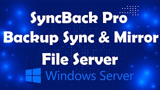 Configure SyncBack Pro to Backup Server Data Lesson21  Msolved Tech [upl. by Llenyar98]