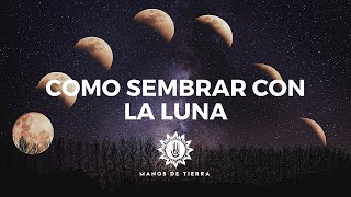 Como Sembrar Con LA LUNA 2024 cultivar con fases lunares calendario lunar [upl. by Uliram]