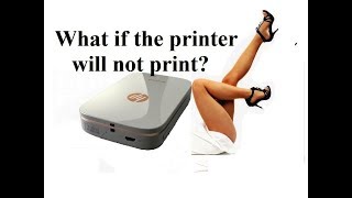 Reset amp Solved  What if the printer will not print  HP Sprocket Printer [upl. by Ahseya]