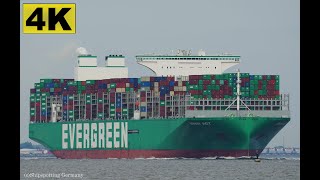 EVER ACT  Shipspotting Germany 🇩🇪 IMO 9893905  River Elbe near City Otterndorf  4K VIDEO [upl. by Nasho]