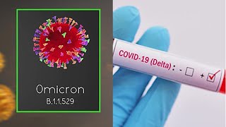 Heres the difference between omicron and delta 2 COVID19 variants [upl. by Amelus]