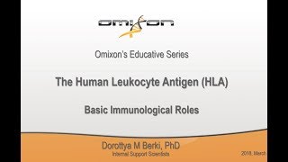 The Human Leukocyte Antigen  Basic Immunological Roles [upl. by Blas]