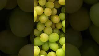 Uvas Pequeñas pero Poderosas para tu Cerebro uvas beneficios saludable nutricion tips [upl. by Berglund]