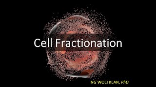 Cell Fractionation New AQA ASA Level [upl. by Remliw]