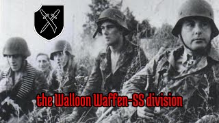 28 SSFreiwilligenPanzergrenadierDivision quotWallonienquot  episode 28 all waffenSS divisions [upl. by Vasti108]