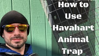 Havahart Animal Trap Model 1079 Unboxing amp Howto Guide [upl. by Orest]