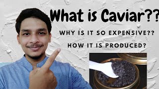 Hindi What is Caviar कैवियार क्या होता है Why caviar is so expensive How Caviar is produced [upl. by Niloc]